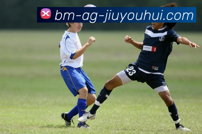 AG九游会官网发展历程